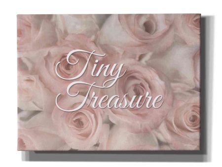 Tiny Treasure  by Lori Deiter, Canvas Wall Art Cheap