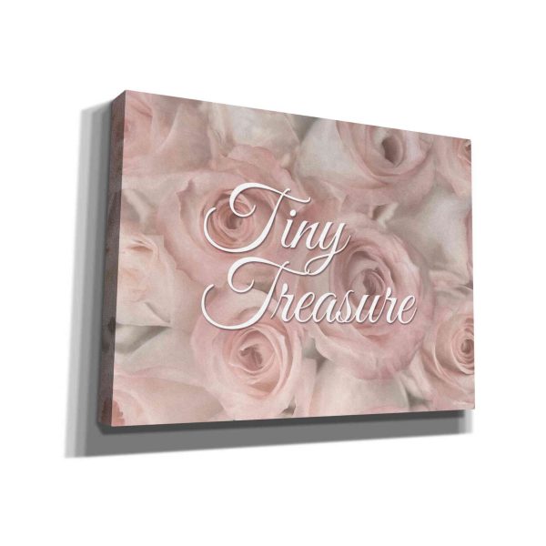 Tiny Treasure  by Lori Deiter, Canvas Wall Art Cheap