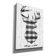 Stay Wild  by Cindy Jacobs, Canvas Wall Art Online