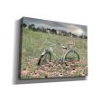 Sagebrush Bicycle  by Lori Deiter, Canvas Wall Art on Sale