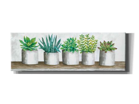 Succulent Pots  by Cindy Jacobs, Canvas Wall Art Online Sale