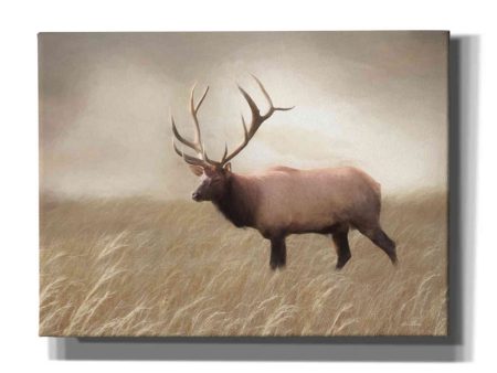 Elk in the Field  by Lori Deiter, Canvas Wall Art Online Sale