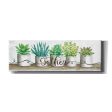 Gather Succulent Pots  by Cindy Jacobs, Canvas Wall Art Hot on Sale