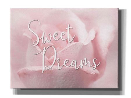 Sweet Dreams  by Lori Deiter, Canvas Wall Art Online Hot Sale