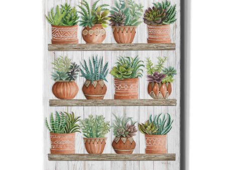 Succulents on Shelves  by Cindy Jacobs, Canvas Wall Art Online Hot Sale