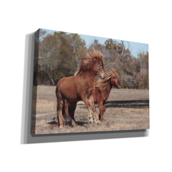 Assateague Horses I  by Lori Deiter, Canvas Wall Art Fashion