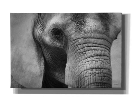 Elephant  by Lori Deiter, Canvas Wall Art Fashion