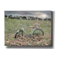 Sagebrush Bicycle  by Lori Deiter, Canvas Wall Art on Sale