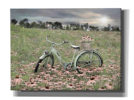 Sagebrush Bicycle  by Lori Deiter, Canvas Wall Art on Sale