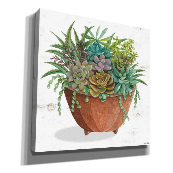 Terracotta Succulents I  by Cindy Jacobs, Canvas Wall Art Online Hot Sale