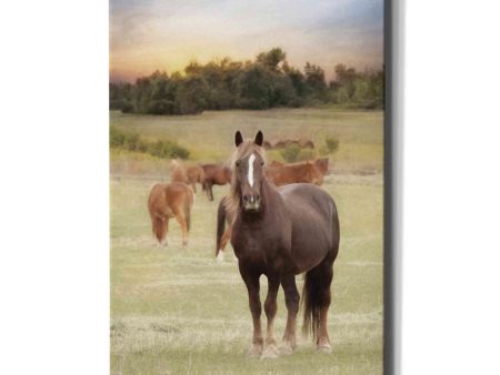 Jackson Horse Farm  by Lori Deiter, Canvas Wall Art Online now