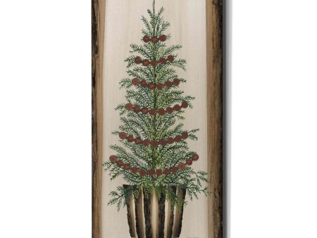 Woodland Spruce Tree  by Cindy Jacobs, Canvas Wall Art Sale