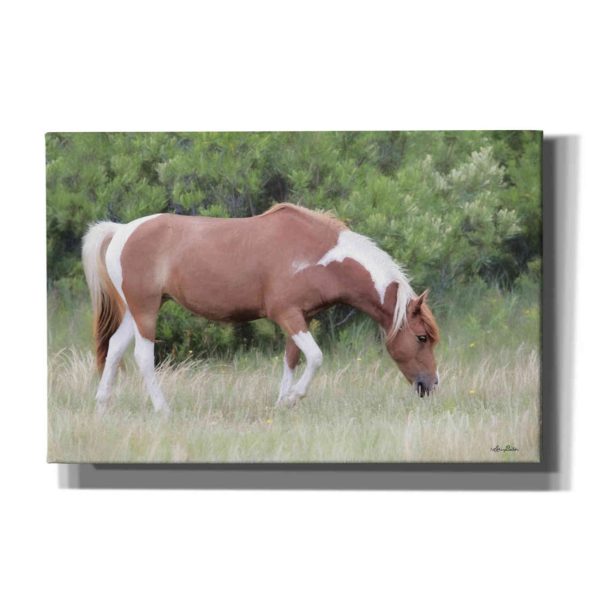 Assateague Horse  by Lori Deiter, Canvas Wall Art Online