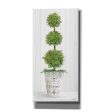 Magnificent Topiary I  by Cindy Jacobs, Canvas Wall Art Fashion