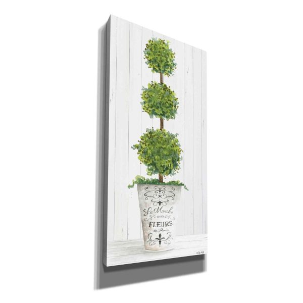 Magnificent Topiary I  by Cindy Jacobs, Canvas Wall Art Fashion