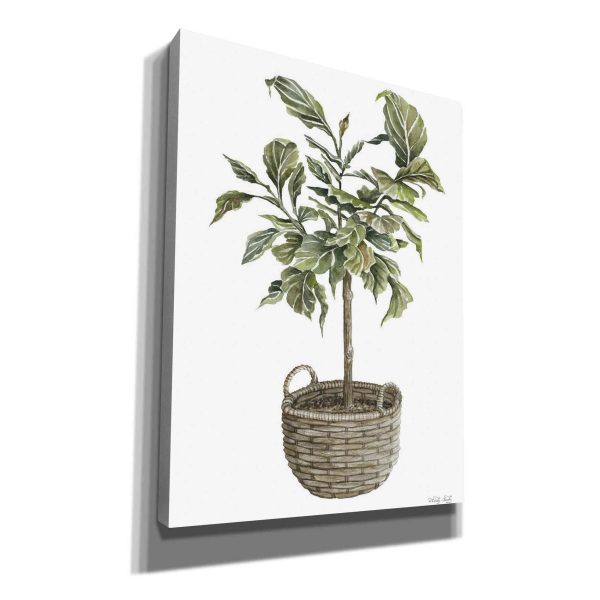 Fig Tree I  by Cindy Jacobs, Canvas Wall Art Online