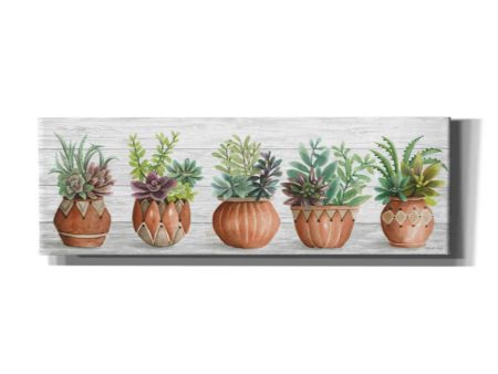 Terracotta Pots I  by Cindy Jacobs, Canvas Wall Art on Sale