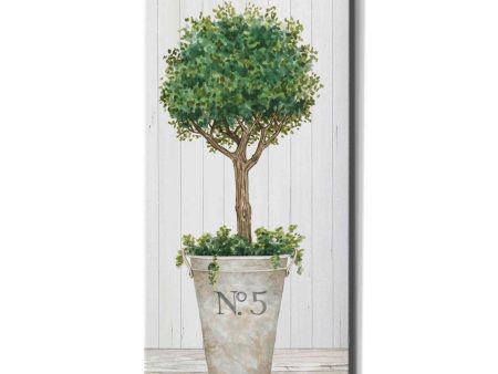 Magnificent Topiary III  by Cindy Jacobs, Canvas Wall Art Online Sale