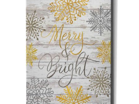 Merry & Bright Snowflakes  by Cindy Jacobs, Canvas Wall Art Fashion