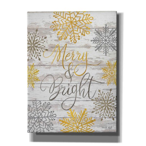 Merry & Bright Snowflakes  by Cindy Jacobs, Canvas Wall Art Fashion