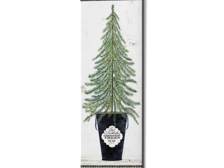 Fir Tree  by Cindy Jacobs, Canvas Wall Art For Cheap