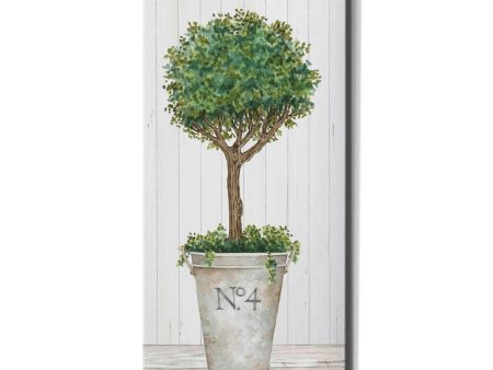 Magnificent Topiary II  by Cindy Jacobs, Canvas Wall Art Fashion