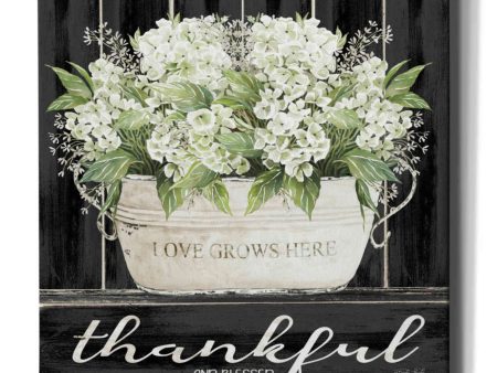 Thankful & Blessed  by Cindy Jacobs, Canvas Wall Art For Discount