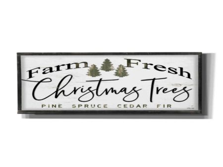 Farm Fresh Christmas Trees III  by Cindy Jacobs, Canvas Wall Art Online