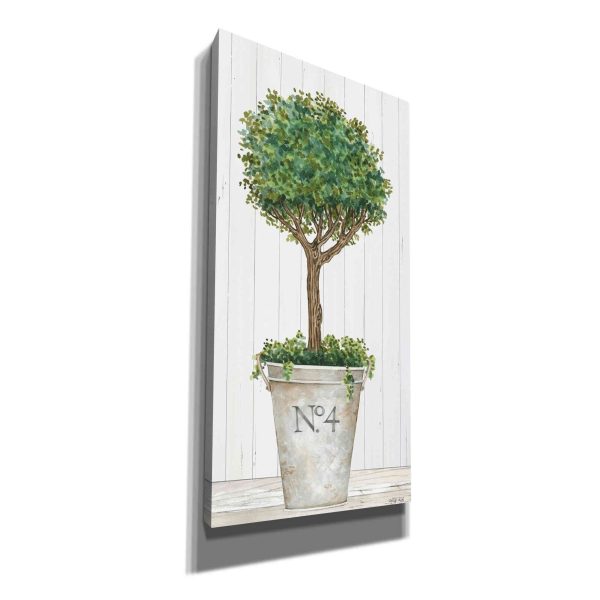 Magnificent Topiary II  by Cindy Jacobs, Canvas Wall Art Fashion