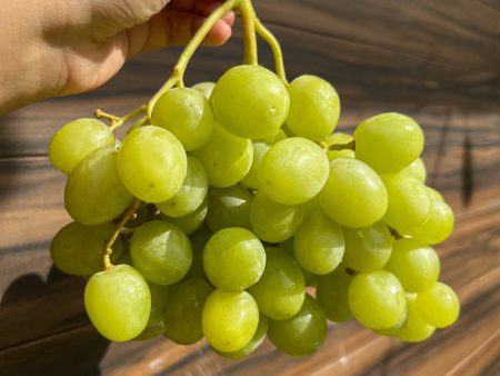 Premium US Ivory Green Grapes Discount