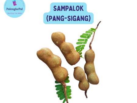 Sampalok (For Sinigang) Online Sale