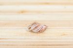 Wholesale: Seashell Magnet with Tillandsia Air Plant  [Min Order 12] on Sale