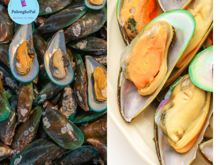 Tahong  Mussels (Small- Medium) Online