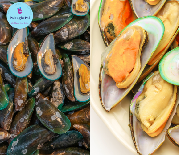 Tahong  Mussels (Small- Medium) Online