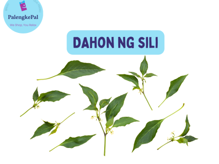 Sili Leaves  Dahon ng Sili Online Sale