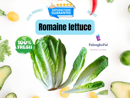 Romaine Lettuce Fashion