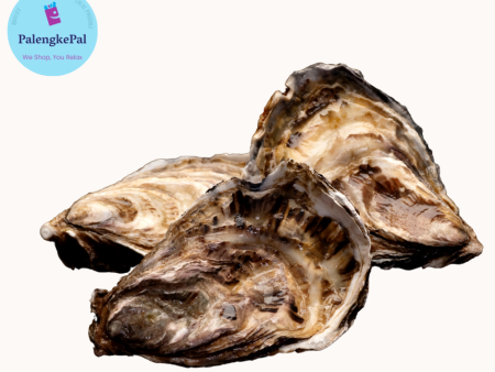 Oysters (Full shell) Cheap