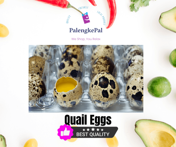 Quail eggs Fashion