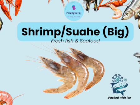 Shrimp Suahe (Big) Supply