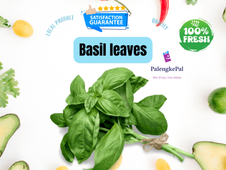 Basil leaves Online Hot Sale