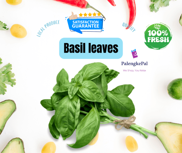 Basil leaves Online Hot Sale