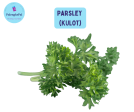 Parsley (Kulot) For Cheap