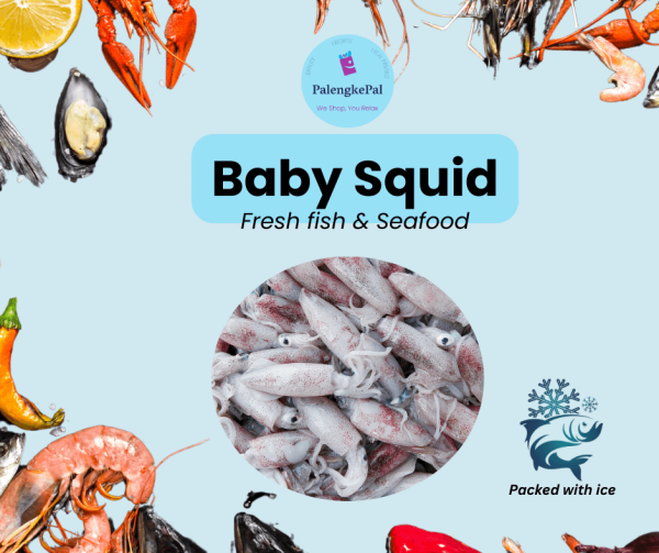 Baby Squid For Sale