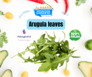 Arugula Discount