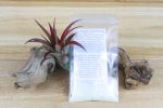 Grow More Tillandsia Air Plant Fertilizer   Plant Food - Small Packet - 1 Year Supply [1, 3 or 5 Pack] For Sale