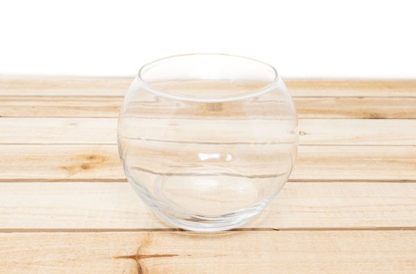 Collection of 3 Hand Blown Glass Terrariums Online