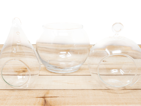 Collection of 3 Hand Blown Glass Terrariums Online