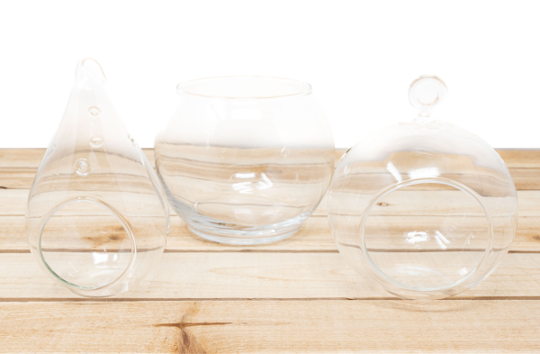 Collection of 3 Hand Blown Glass Terrariums Online