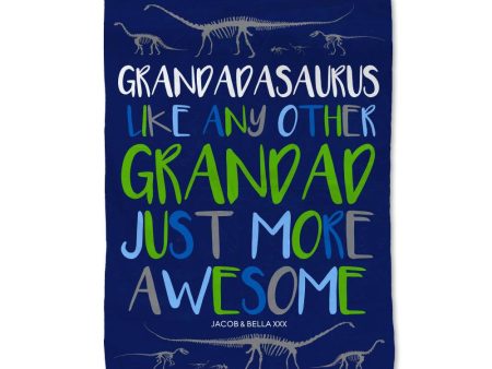 Grandadasaurus Blanket - Large For Discount