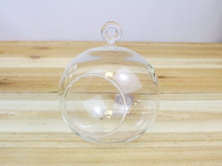 Wholesale by the Case: Flat Bottom Hanging Globe Terrariums [Min Order 48] Cheap